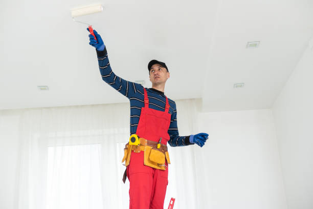 Best Repainting for Renovations  in East Massapequa, NY